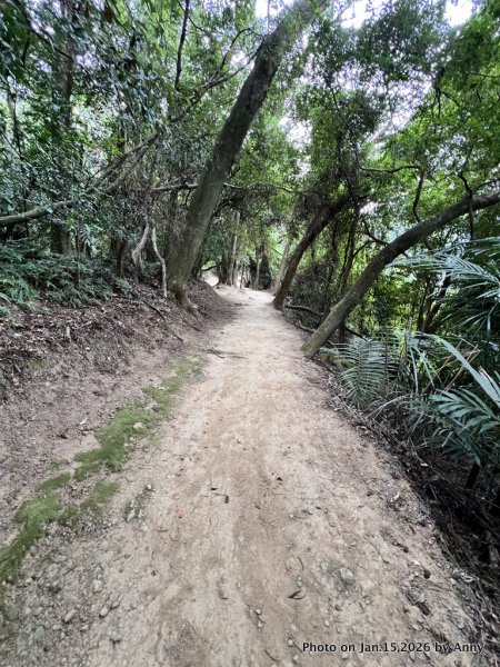 【新竹＋苗栗】猿獅縱走2989059