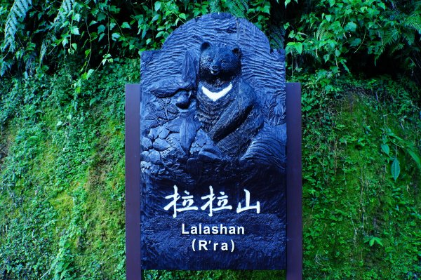 桃園 復興 達觀山、拉拉山3101825