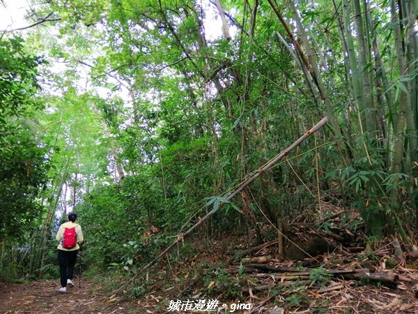 【台南。南化】開車比爬山還辛苦。小百岳集起來。編號66小百岳~西阿里關山1473544