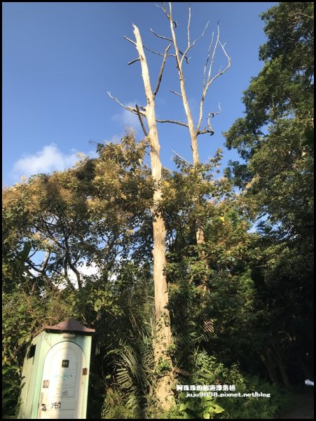 宜蘭礁溪。抹茶山聖母登山步道｜走到軟腿的1189195