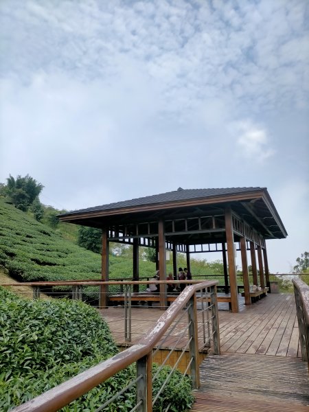 阿拔泉山/觀音石山/紅楠坑山/龜山/大巃頂西北峰/大巃頂/竹松梅步道/獨立山 環狀1718290