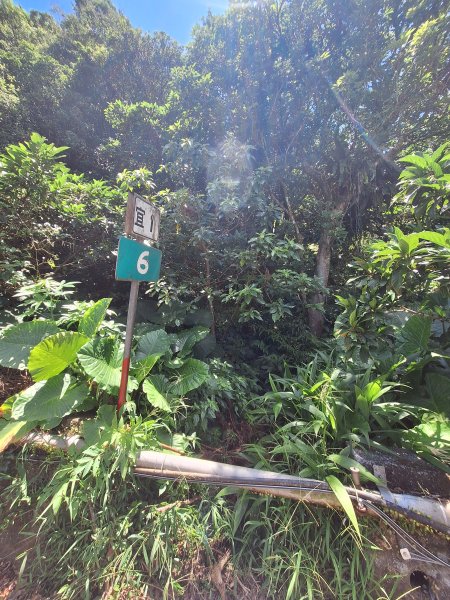 頭城鷹石尖+七兄弟山+外大溪山O形(明山寺起登)202508302876600