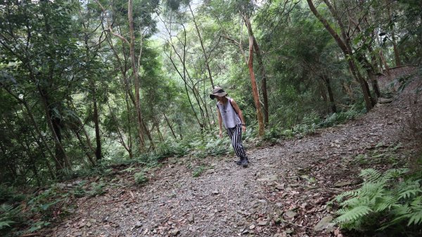 新舊寮瀑布O型登山健行趣(步道)2328223