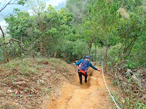 旗月縱走 2019/3/24551728