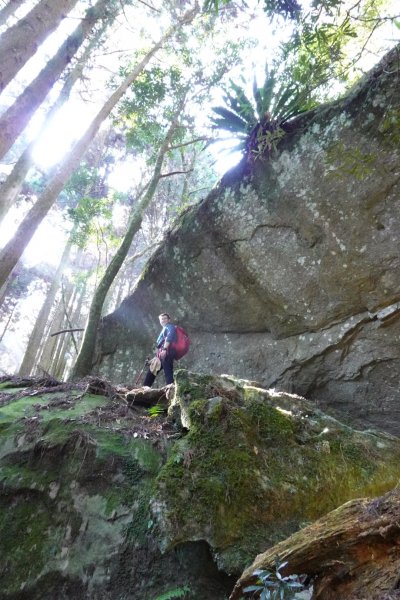 20211205 加里山(鹿場登山口)1539230