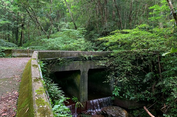 新竹尖石｜水田林道｜壯闊飛瀑秘境．鴛鴦谷瀑布群1574120