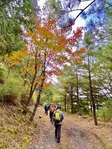 12年後重逢北三錐山    2021/11/201523581