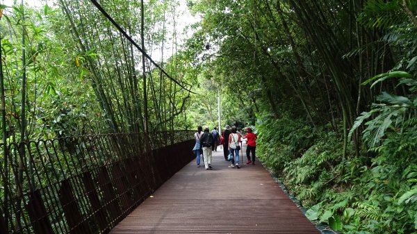 舊三貂嶺隧道2106421