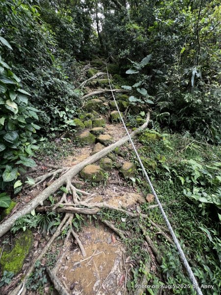 連走微笑山線第一段＋第二段（大棟山系）2853033