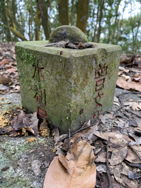 20250129高雄塔羅留山-塔羅留山南峰-他果晏山2705271