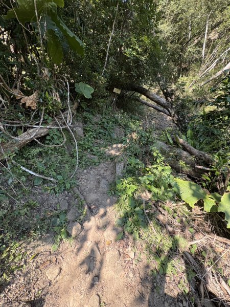 20251123台南－獵鷹尖一線天步道2944545