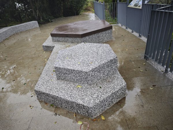 2026_0131 獅球嶺北峰2997794