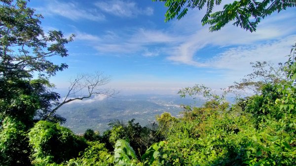 阿拔泉山/觀音石山/紅楠坑山 環狀2308162