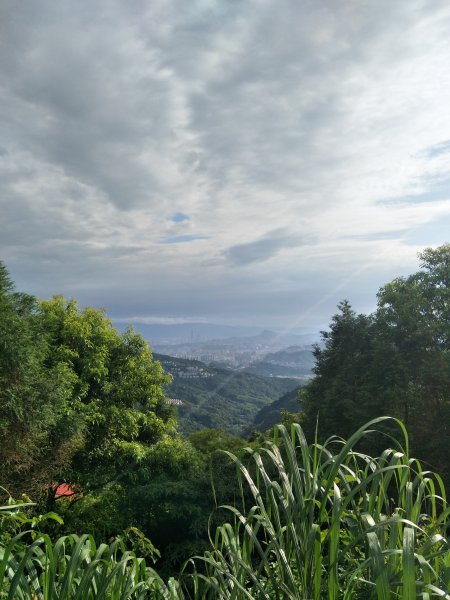 獅仔頭山登山步道1707599