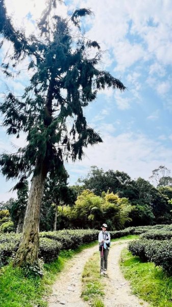 🌈3/29（六）巴蜈縱走~FB：熊熊趴爬走🌈2749783