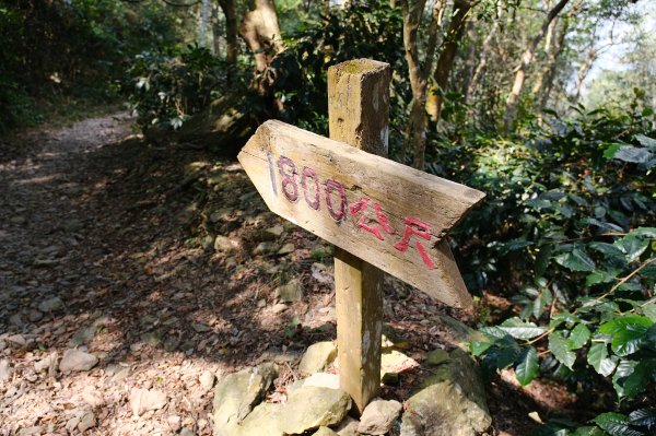 觀望山(德文山)2736170