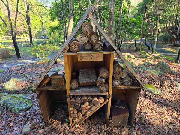八仙山森林遊樂區、佳保台山2712654