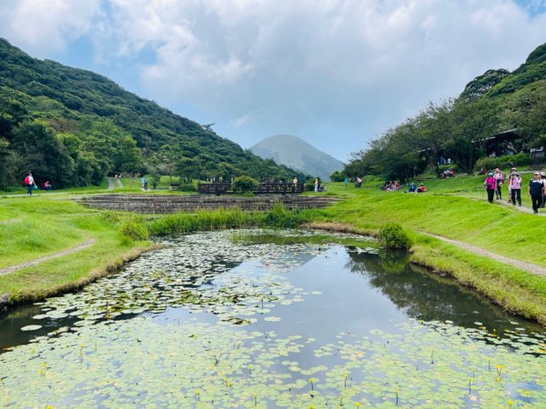 1130804面天山-向天山2567334