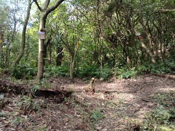 基隆市/萬里區界寮縱走之三界山+三界山西峰+開眼尖山+七分寮山+瑪七產道山泉水接水亭2979545