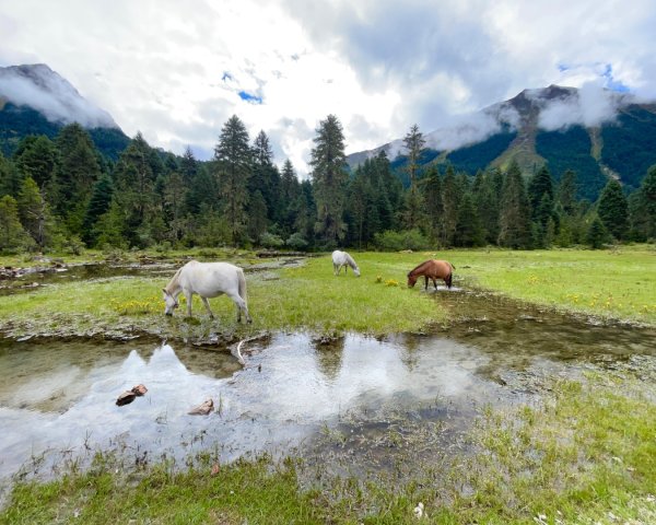 西藏的高山聖湖💙一措再措2907580