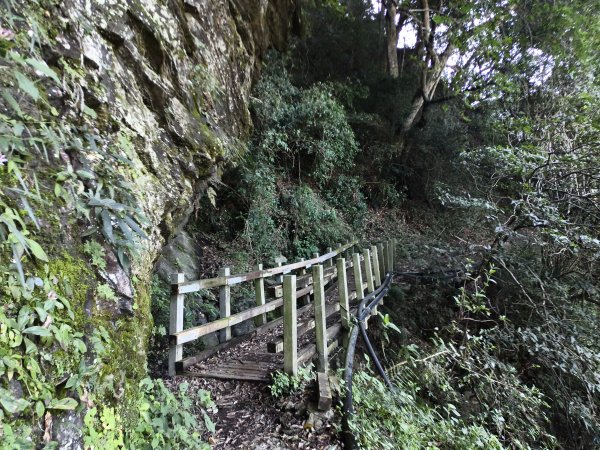 [玉山尋寶任務-07/12] 2025_0824 八通關雲龍瀑布步道2870546