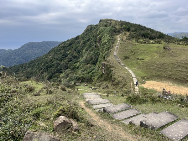 灣坑頭山2057929