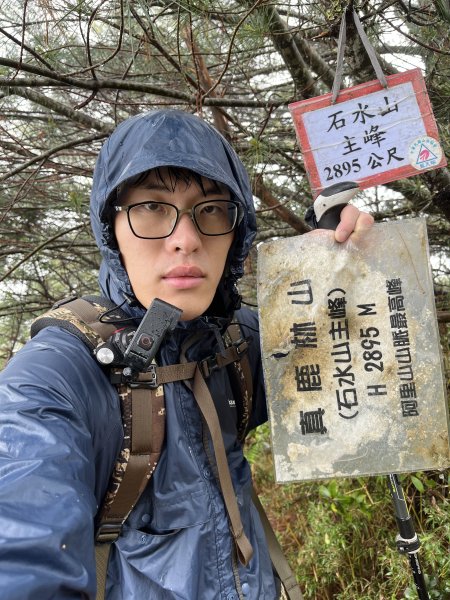鹿林山-鹿林前山-真鹿林山-石水山-石水山基點峰 2025.5.252798437