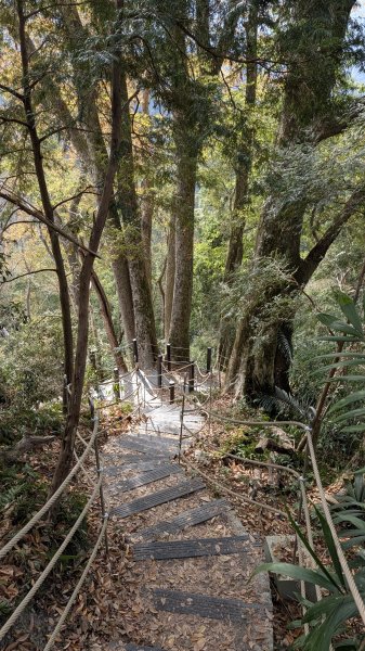 雪山坑環線3021058