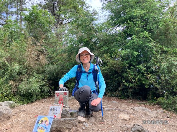 【羅馬縱走】山林巨木饗宴，夏季避暑的縱走路線2888200