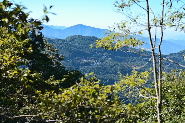 大塔山步道(早晨0630起登)1927498