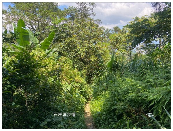 中坑山．石灰坑山．望湖山 連走2812970