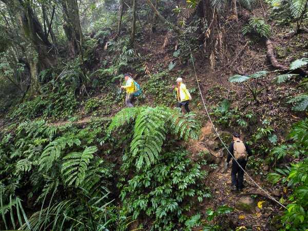 2025-03-08 汶水三山：金童山、汶水山、玉女山 連走2736549