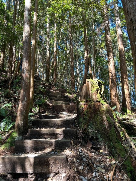 八唐縱走-谷關松鶴部落2176499