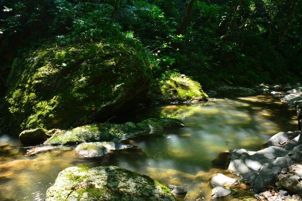 坪溪古道1094945