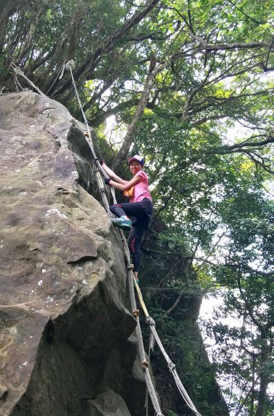 五寮尖登山步道410542