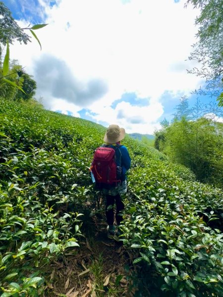 麻竹湖步道走麻竹湖山/阿郡山2820967