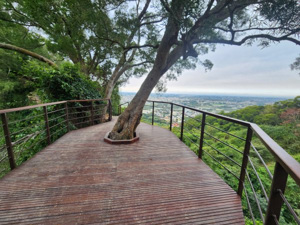 20250223田中大小劍與橫山2939825