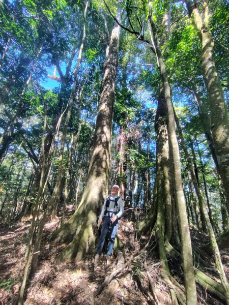 南東眼山連走有勝山2918744