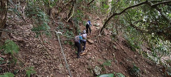 2025/12/25_冬瓜山神木步道2971967