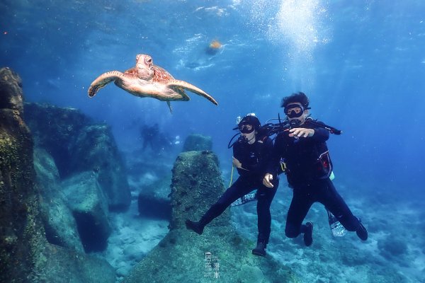 小琉球潛水之～海龜我來啦！