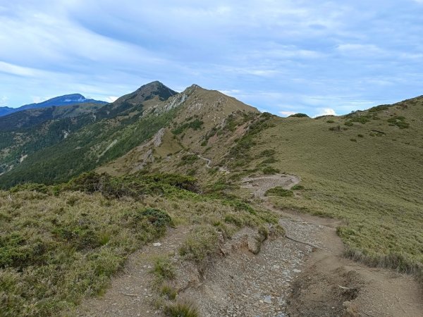 20220625台東海端向陽山、向陽山北峰、三叉山、嘉明湖1745673