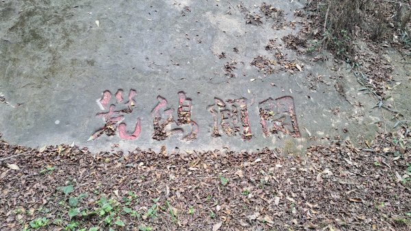 20250101八通關日治越道線(東埔-乙女瀑布)2684487