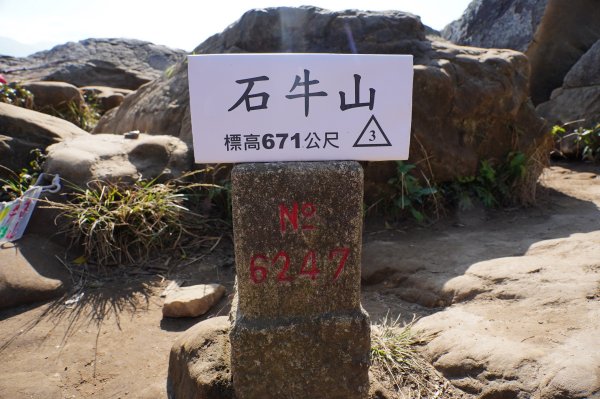 新竹 關西 蓬萊仙島山、石牛山、油井窩山、福大山2982396