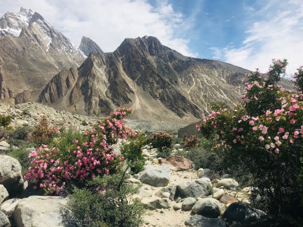 喀喇昆侖山K2基地營健行647816