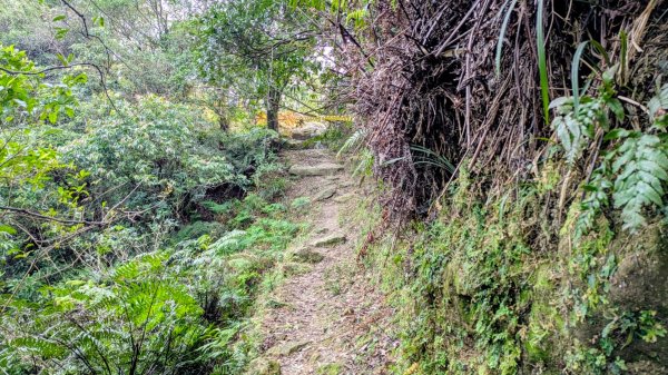 七二法則的倍數樂章2984127