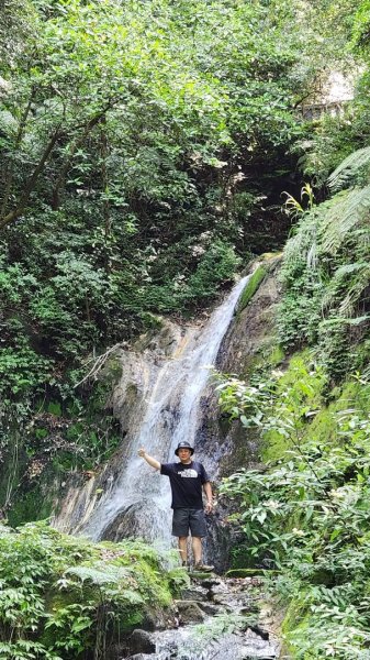 龍鳳谷步道→陽峰古道→陽明山花鐘→小隱潭瀑布→湖山綠地→半嶺水圳步道→松溪瀑布2205505