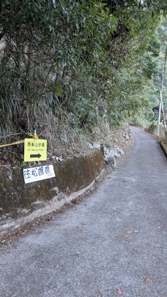 【中級山】五星級步道，谷關七雄馬崙山3021963