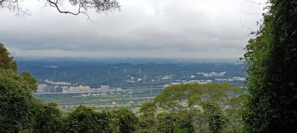 20231112_飛鳳山+觀日坪古道(含中坑山+石壁潭山)2344939