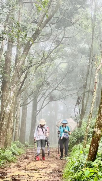 🌈7/20(日)梗枋古道接坪溪古道下石空古道✨FB：熊熊趴爬走🌈2842236