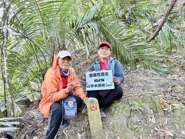 苗栗冷門山--蕃婆石山5基石連登   2026.01.112981367